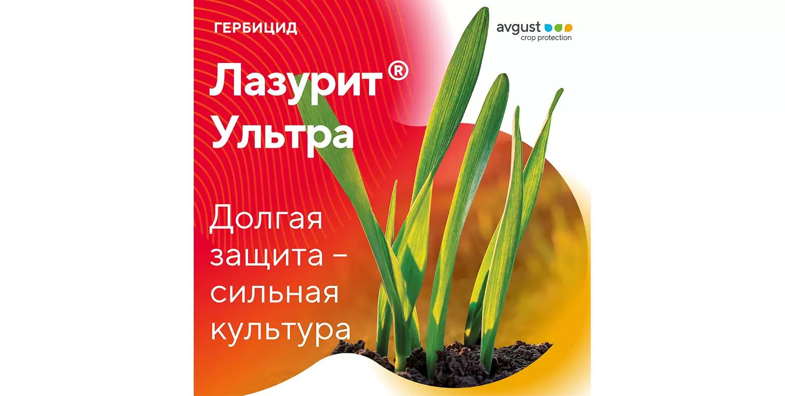 Лазурит® Ультра – гербицид против падалицы рапса на озимых пшенице и ржи