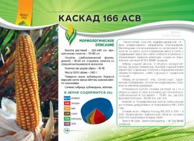 Каскад 166 АСВ