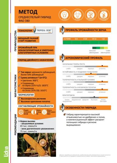 ЕС Метод - гибрид кукурузы ( Zea mays L.).