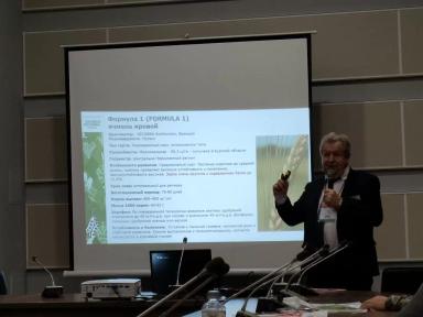 Формула 1 (FORMULA 1)