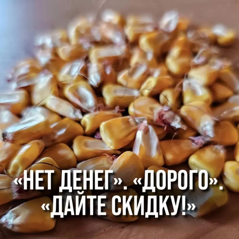 «НЕТ ДЕНЕГ». «ДОРОГО». «ДАЙТЕ СКИДКУ!»