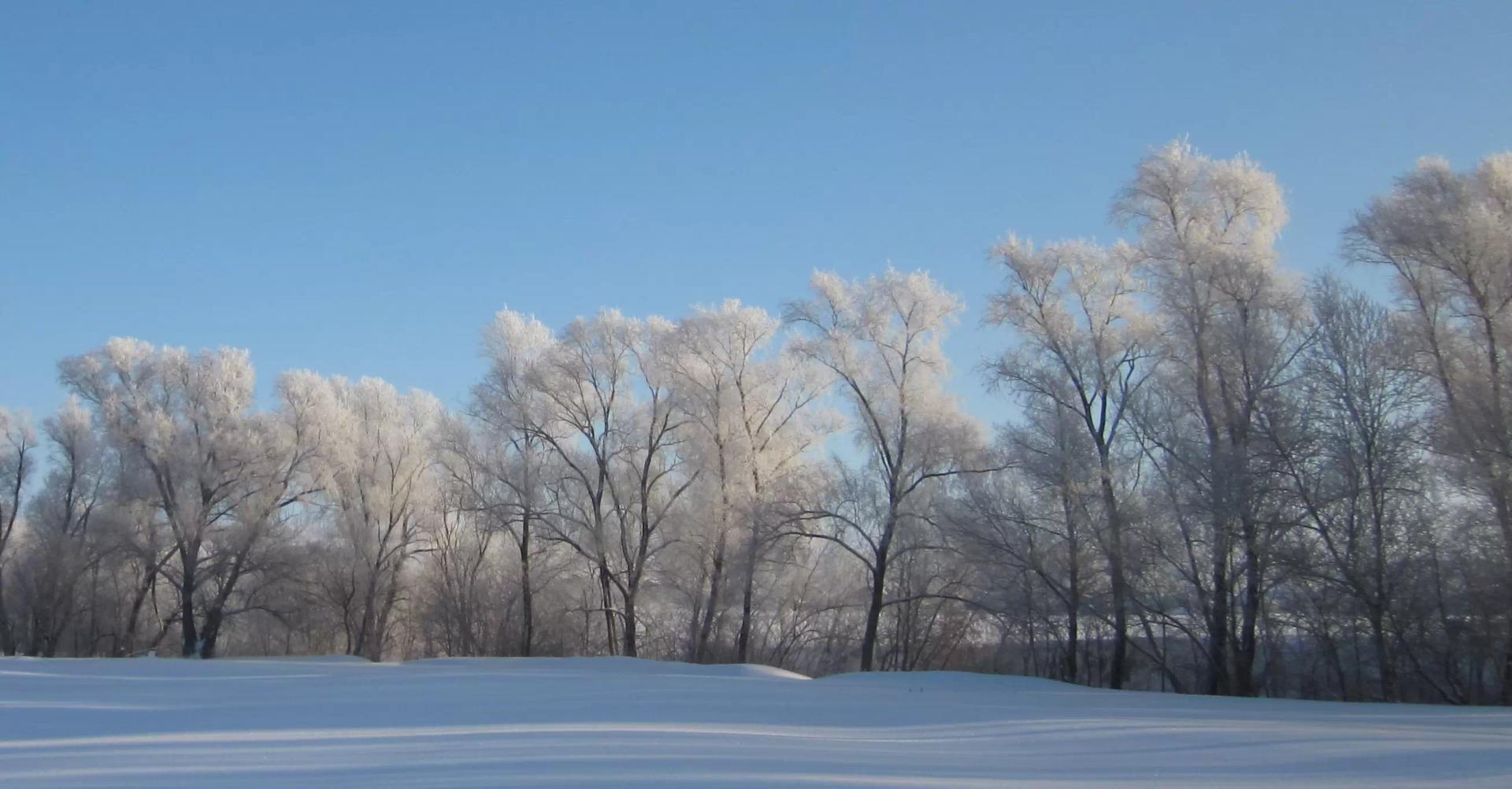 С Новым 2022 Годом!