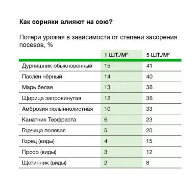 Соевый агрокалендарь: июнь