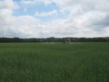 Эффективность китайских и российских гербицидов  в сравнении с европейскими.