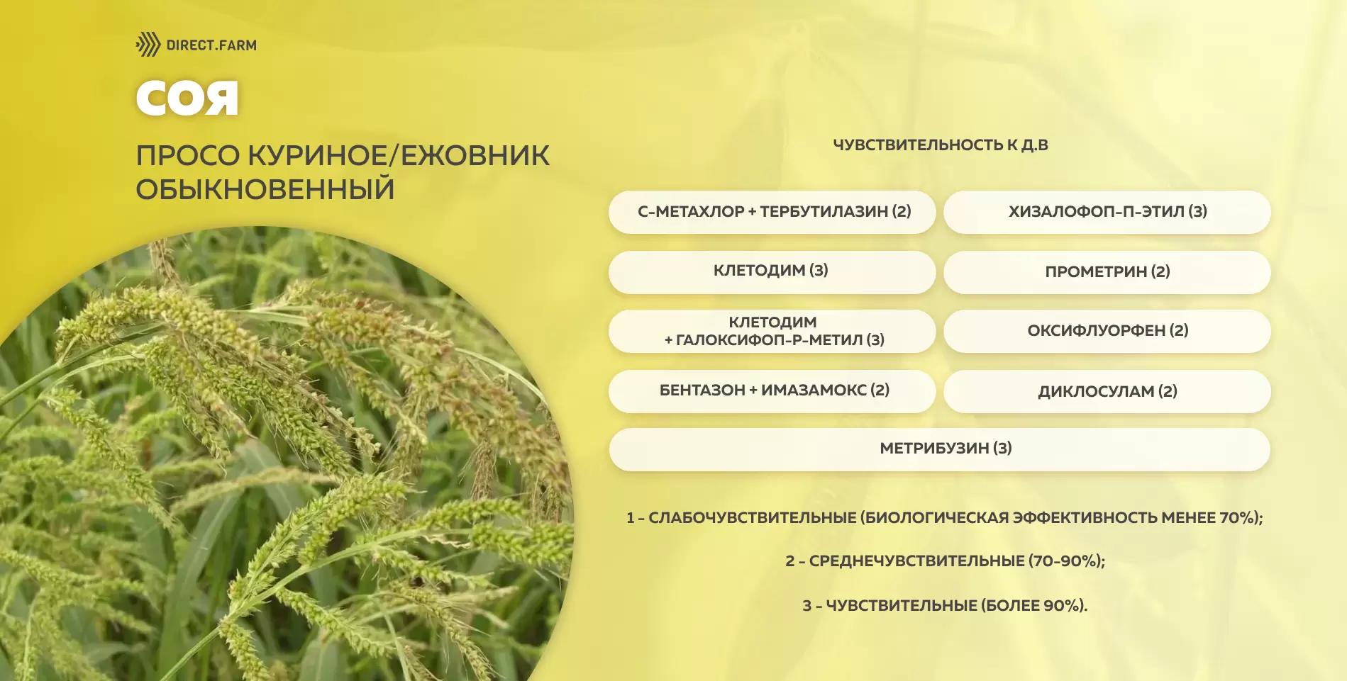 Шпаргалка чувствительности проса куриного к д.в. гербицидов