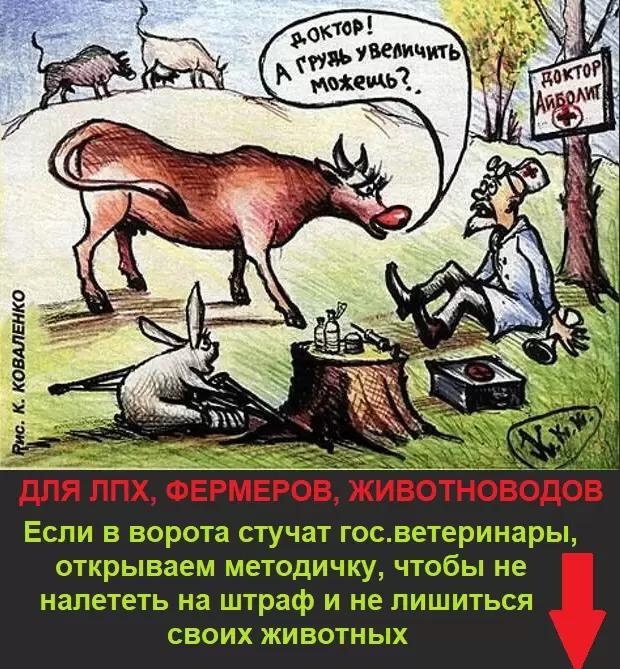 Для тех, кто содержит животных, птиц или рыб