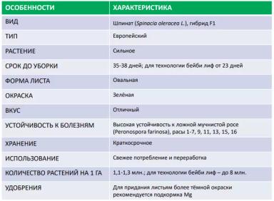Клиппер F1 (CLIPPER)