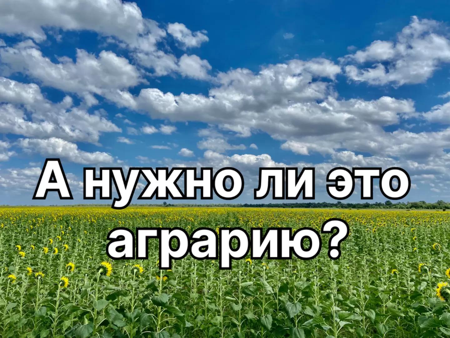 Видеоблог в агросфере – это трата времени?