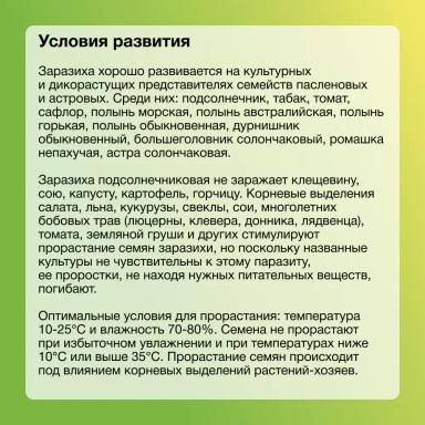 Заразиха. Стоп!