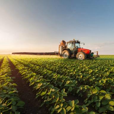 Фунгициды на сое