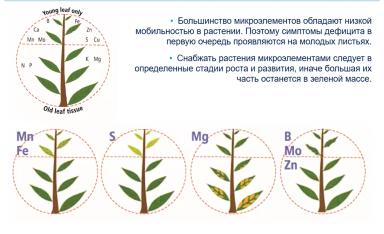 Микроэлементы в питании растений