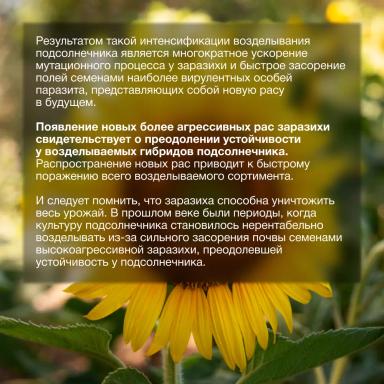 Экономические потери от заразили