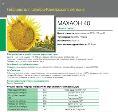 Махаон 40 гибрид подсолнечника