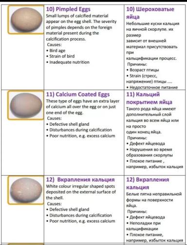 Дефекты яйца и их причины