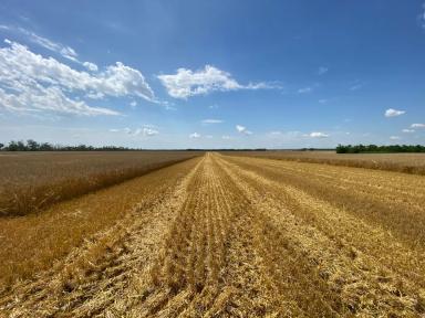 Автопилот Итэлма на комбайн Claas