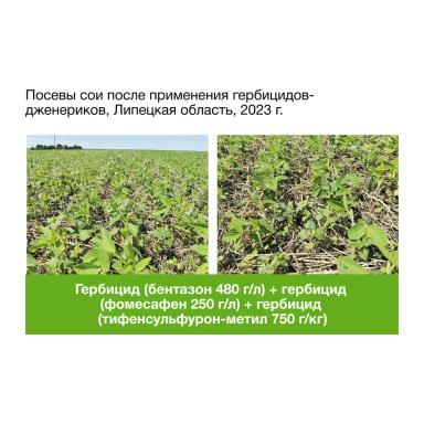 🌱 Одинаковое действующее вещество — разный результат
