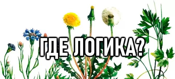 Что здесь лишнее?