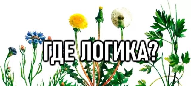 Что здесь лишнее?