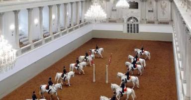 Липпицианская (липицианская, липизанская) порода