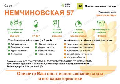 Немчиновская 57 ® сорт мягкой озимой пшеницы