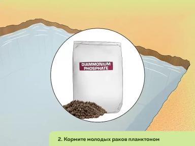 Как организовать ферму по разведению пресноводных раков. Часть 3