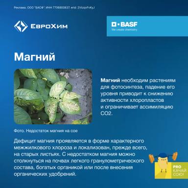 PROкачай сою! Признаки дефицита элементов питания при возделывании сои