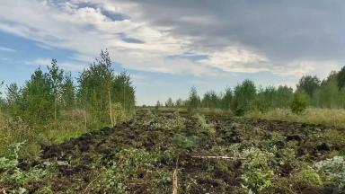 Ввод залежных земель в оборот за один год: опыт алтайских фермеров