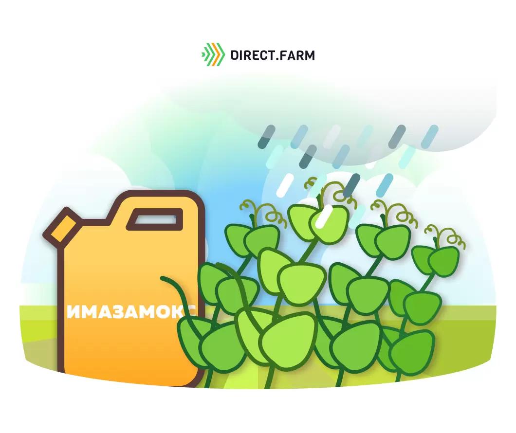 Будут ли последствия от поздней обработки гороха? 