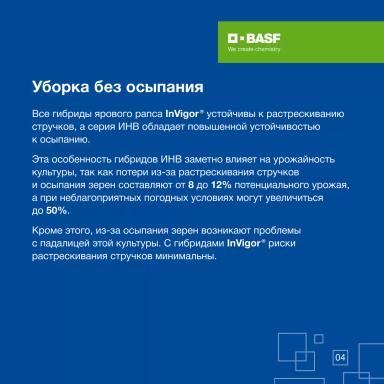 ИНВ 115: результат 20 лет селекционной работы