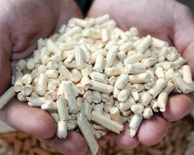Топливные пеллеты из хвои
