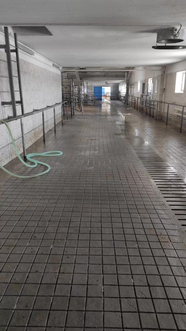 Нарезка полов в животноводческих помещениях