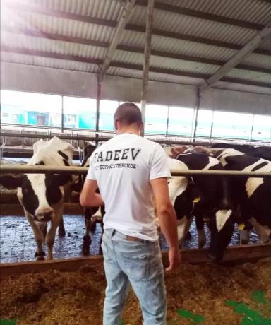 ...Когда нужны дополнительные исследования, или "Диагноз уточняется"...