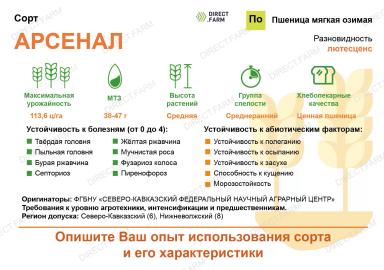Арсенал сорт мягкой озимой пшеницы
