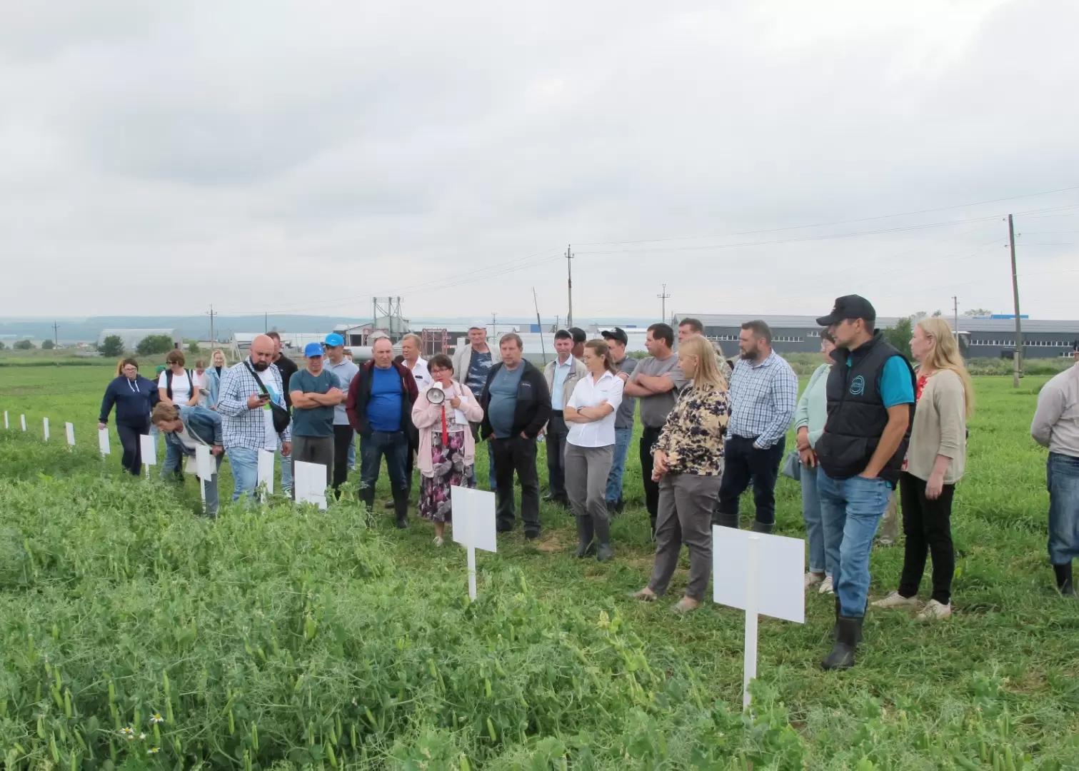 Дайджест июльских мероприятий «Августа». Часть 3