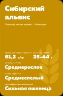 Сибирский альянс