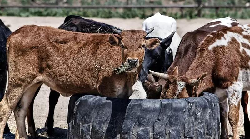 Роструд в 2023 году сократит до минимума число плановых проверок