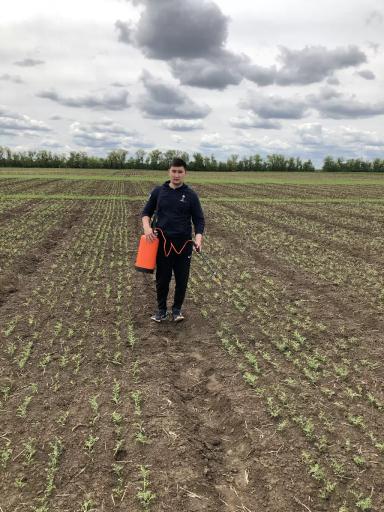 УСОВЕРШЕНСТВОВАННЫЕ ЭЛЕМЕНТЫ ТЕХНОЛОГИИ ВОЗДЕЛЫВАНИЯ НУТА ДЛЯ УСЛОВИЙ СУХОСТЕПИ