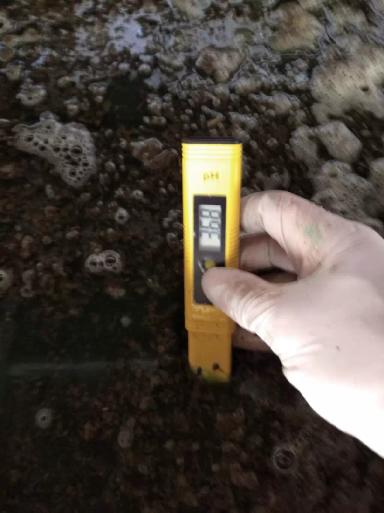 Базовые растворы для копытных ванн