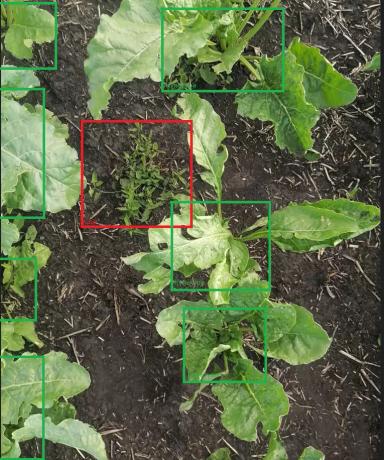 Локальное внесение гербицидов. экономия до 70%. Уже работает в США.