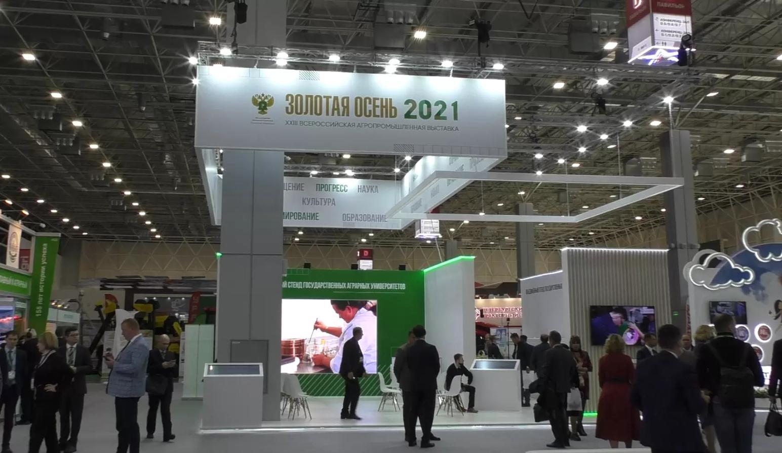 Золотая Осень 2021