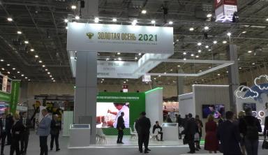 Золотая Осень 2021