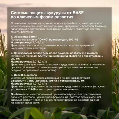 Что нужно знать, чтобы получить максимальный урожай?