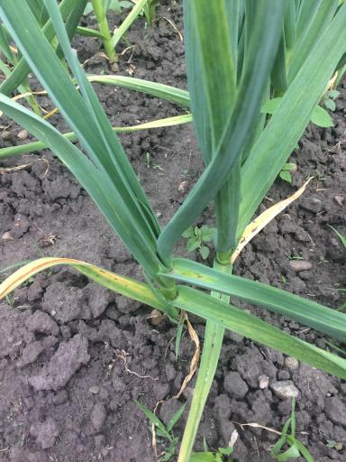 Агромониторинг 