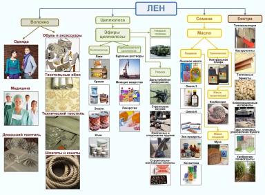 Русский лён. Как обогнать Францию с КНР и вернуть себе мировое лидерство