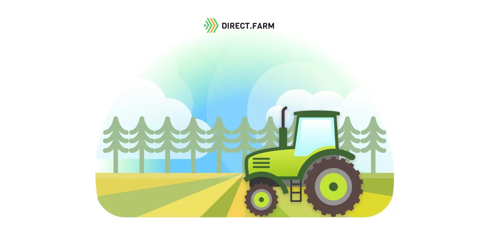 Подготовка почвы под посев после сосняка