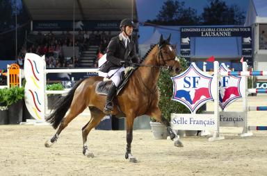 Французская верховая порода (французский сель)