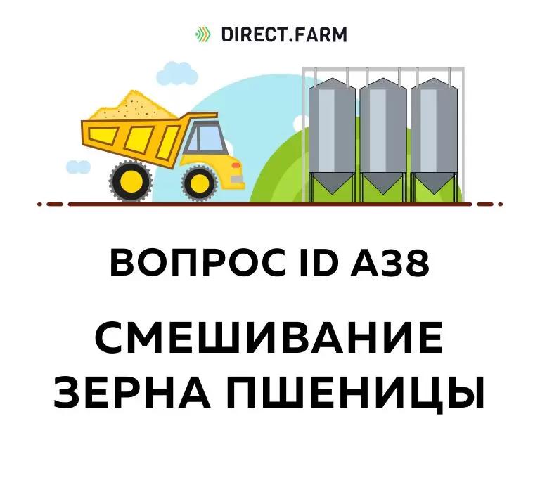 Вопрос: ID А38 вопрос выходного дня