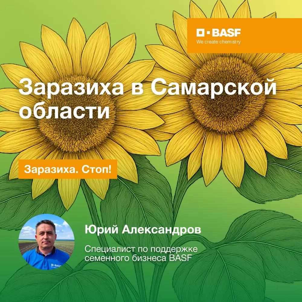 Заразиха в Самарской области