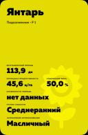 Янтарь подсолнечник