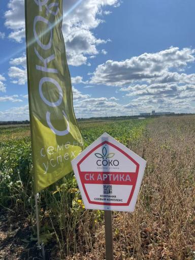 Компания "СОКО" приняла участие в аграрной выставке в Рязани в "Подсолнухово"!